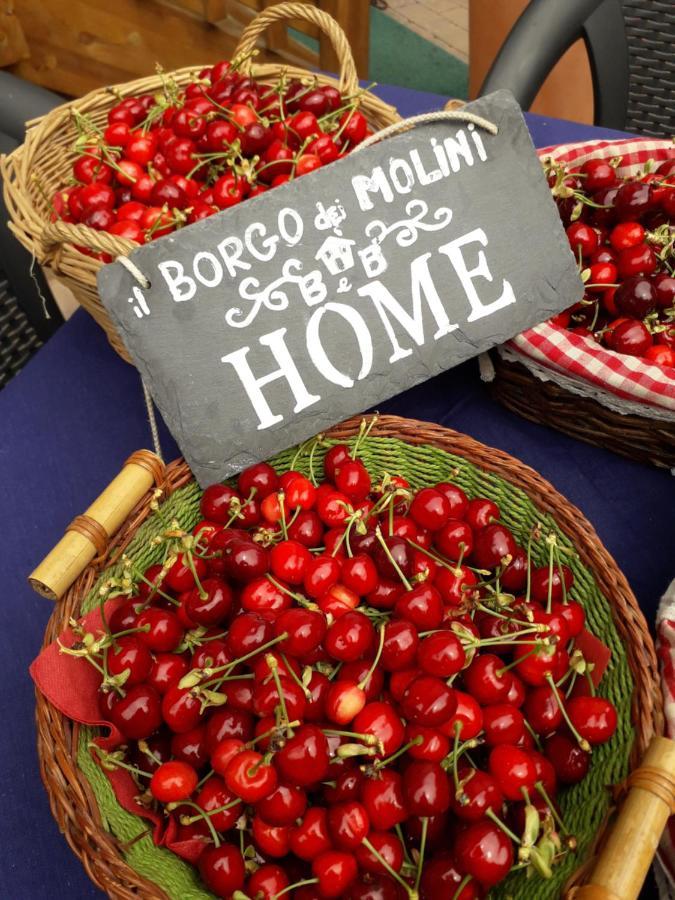 Bed and Breakfast Il Borgo Dei Molini Torreglia Exterior foto